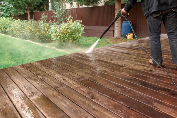 Best Building Exterior Washing  in Havre De Grace, MD